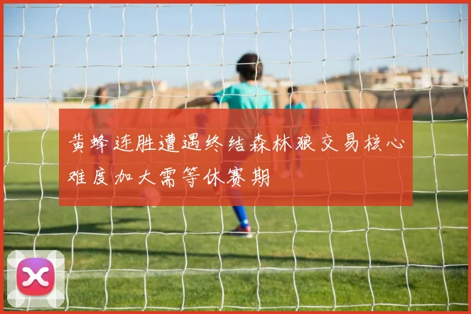 黄蜂连胜遭遇终结森林狼交易核心难度加大需等休赛期