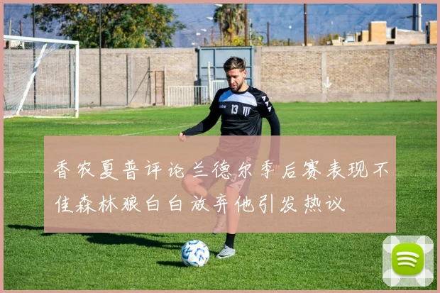 香农夏普评论兰德尔季后赛表现不佳森林狼白白放弃他引发热议