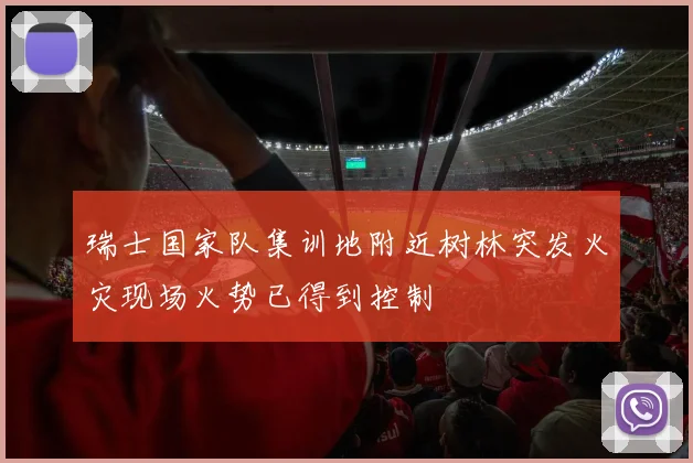 瑞士国家队集训地附近树林突发火灾现场火势已得到控制